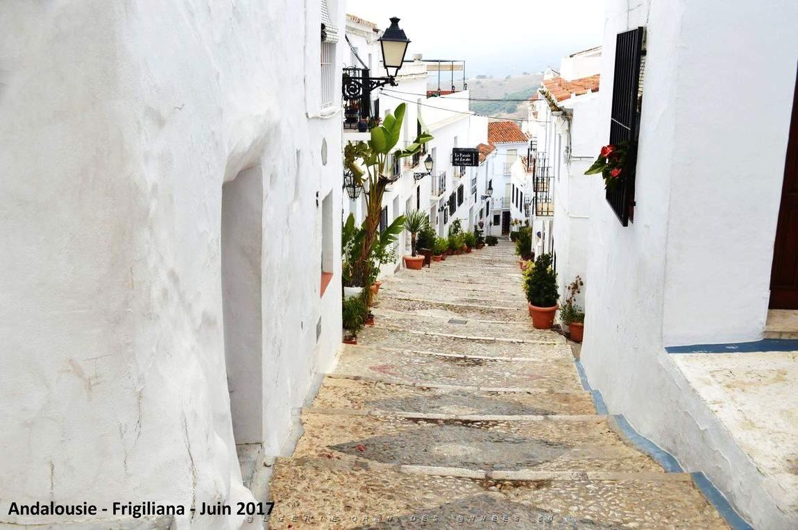 581 - Frigiliana.JPG